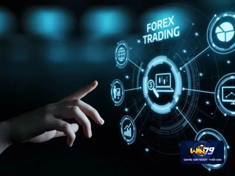 Điều kiện điều khoản Win79 được hiểu thế nào?